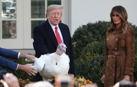 Ông Trump: Tới gà lôi còn sợ phe Dân chủ - Ảnh 1. Ông Trump: Tới gà lôi còn sợ phe Dân chủ - Ảnh 1.
