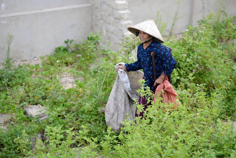 Bà cụ nhặt rác một chân ở bãi biển Gio Linh và điều ước một lần được thăm lăng Bác - Ảnh 2. Bà cụ nhặt rác một chân ở bãi biển Gio Linh và điều ước một lần được thăm lăng Bác - Ảnh 2.