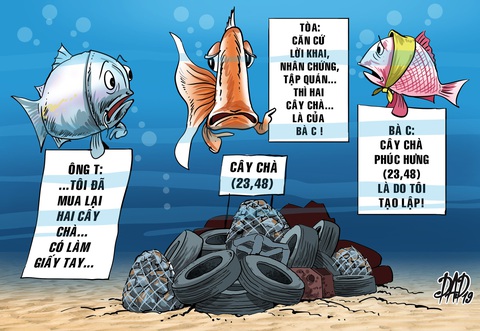 Cây chà trên biển của ai? - Ảnh 1. Cây chà trên biển của ai? - Ảnh 1.