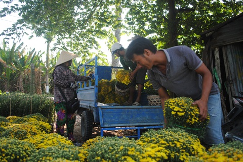 Thí điểm thu phí khách tham quan làng hoa Sa Đéc - Ảnh 1. Thí điểm thu phí khách tham quan làng hoa Sa Đéc - Ảnh 1.