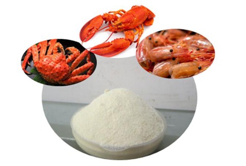 Nghiên cứu mới về ứng dụng hoạt chất chitosan trong giảm cân - Ảnh 1. Nghiên cứu mới về ứng dụng hoạt chất chitosan trong giảm cân - Ảnh 1.