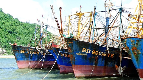 28 tàu cá Nghị định 67 bị bảo hiểm chê - Ảnh 1. 28 tàu cá Nghị định 67 bị bảo hiểm chê - Ảnh 1.