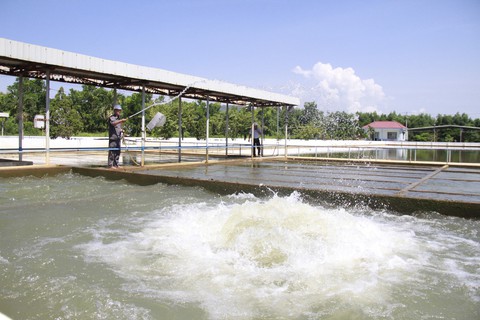 Đà Nẵng yêu cầu báo cáo toàn diện gói thầu nhà máy nước ngàn tỉ - Ảnh 2. Đà Nẵng yêu cầu báo cáo toàn diện gói thầu nhà máy nước ngàn tỉ - Ảnh 2.