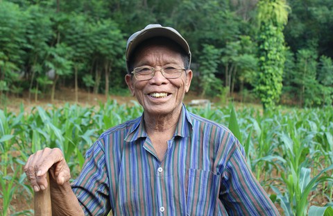 Để đồi cho chim về ở, hơn 30 năm coi đàn cò như con - Ảnh 3. Để đồi cho chim về ở, hơn 30 năm coi đàn cò như con - Ảnh 3.