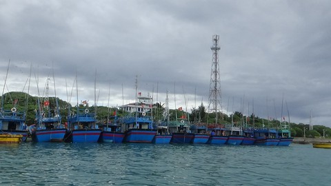 Hàng ngàn ngư dân vào Trường Sa tránh bão số 6 - Ảnh 3. Hàng ngàn ngư dân vào Trường Sa tránh bão số 6 - Ảnh 3.