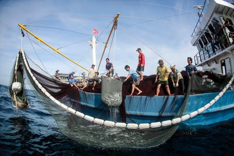 Tuần sau, EC lại đến Việt Nam kiểm tra việc khắc phục thẻ vàng thủy sản - Ảnh 1. Tuần sau, EC lại đến Việt Nam kiểm tra việc khắc phục thẻ vàng thủy sản - Ảnh 1.