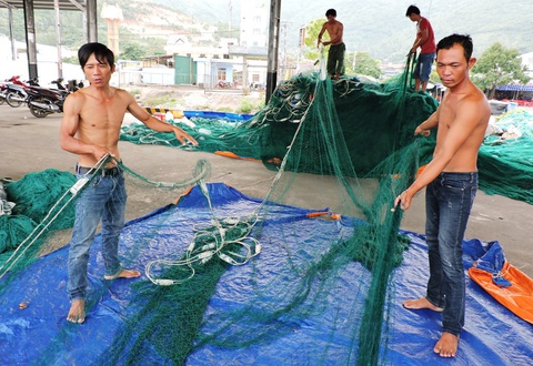 700 tàu cá xa bờ các tỉnh về trú cảng Hòn Rớ trước bão số 6 - Ảnh 3. 700 tàu cá xa bờ các tỉnh về trú cảng Hòn Rớ trước bão số 6 - Ảnh 3.