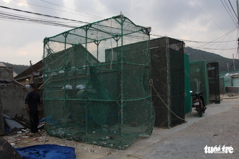 Hàng trăm người dân làng biển Nhơn Hải hối hả lo chống bão - Ảnh 6. Hàng trăm người dân làng biển Nhơn Hải hối hả lo chống bão - Ảnh 6.