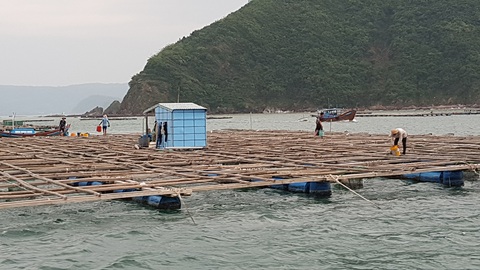 Tâm bão số 6 Bình Định, Phú Yên chằng chống mọi thứ trước giờ G - Ảnh 9. Tâm bão số 6 Bình Định, Phú Yên chằng chống mọi thứ trước giờ G - Ảnh 9.