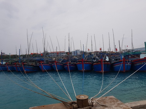 Ngư dân vào các âu tàu ở Trường Sa để tránh bão số 6 - Ảnh 2. Ngư dân vào các âu tàu ở Trường Sa để tránh bão số 6 - Ảnh 2.