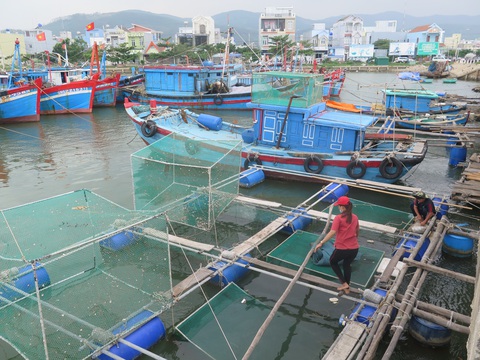 Bão số 6 chỉ còn cách Quảng Ngãi, Khánh Hòa 450km - Ảnh 3. Bão số 6 chỉ còn cách Quảng Ngãi, Khánh Hòa 450km - Ảnh 3.
