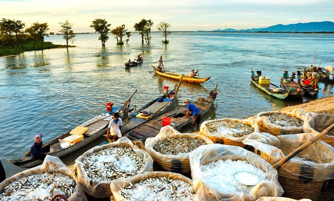 Thương nhớ những mùa cá linh - Kỳ 3: Mùa không đặng cá - Ảnh 3. Thương nhớ những mùa cá linh - Kỳ 3: Mùa không đặng cá - Ảnh 3.