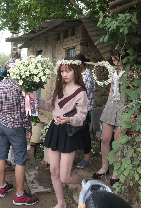 Mùa cúc họa mi nhộn nhịp từ vườn ra phố Hà Nội - Ảnh 4. Mùa cúc họa mi nhộn nhịp từ vườn ra phố Hà Nội - Ảnh 4.
