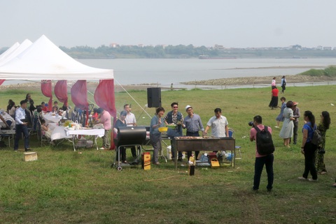Mùa cúc họa mi nhộn nhịp từ vườn ra phố Hà Nội - Ảnh 6. Mùa cúc họa mi nhộn nhịp từ vườn ra phố Hà Nội - Ảnh 6.
