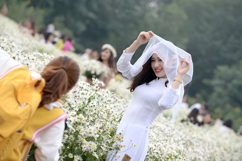 Mùa cúc họa mi nhộn nhịp từ vườn ra phố Hà Nội - Ảnh 15. Mùa cúc họa mi nhộn nhịp từ vườn ra phố Hà Nội - Ảnh 15.