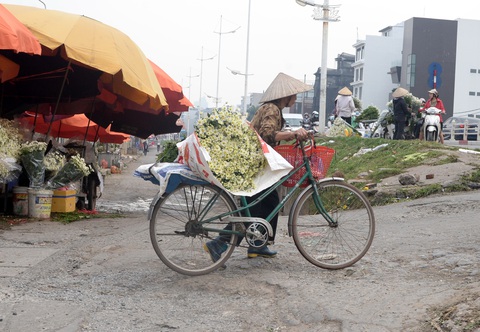 Mùa cúc họa mi nhộn nhịp từ vườn ra phố Hà Nội - Ảnh 17. Mùa cúc họa mi nhộn nhịp từ vườn ra phố Hà Nội - Ảnh 17.