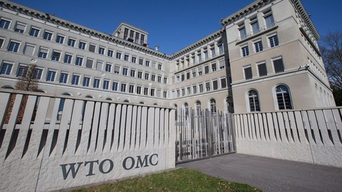 WTO cảnh báo xu hướng lực lượng lao động giảm mạnh tại nhiều nước - Ảnh 1. WTO cảnh báo xu hướng lực lượng lao động giảm mạnh tại nhiều nước - Ảnh 1.