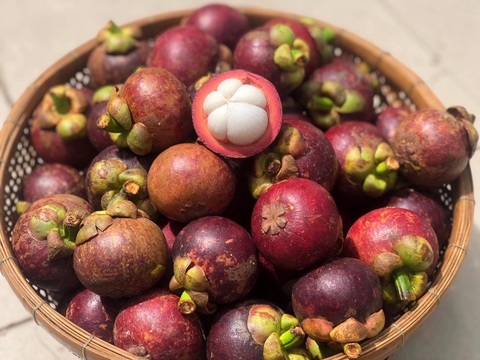 Kể chuyện cây trái miền Tây - Kỳ 3: Nữ hoàng trăm tuổi giữa cù lao Tân Quy - Ảnh 1. Kể chuyện cây trái miền Tây - Kỳ 3: Nữ hoàng trăm tuổi giữa cù lao Tân Quy - Ảnh 1.
