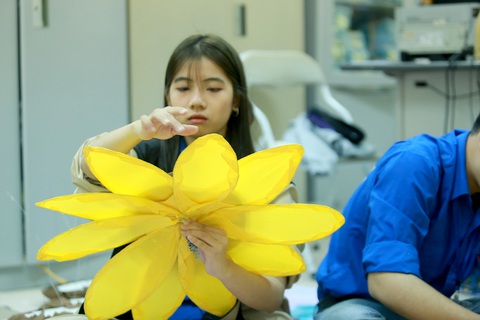 Hoa hướng dương khổng lồ giữa mùa đông Hà Nội - Ảnh 8. Hoa hướng dương khổng lồ giữa mùa đông Hà Nội - Ảnh 8.