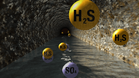 Cách nào nhận biết khí H2S, tránh nguy cơ ngộ độc? - Ảnh 2. Cách nào nhận biết khí H2S, tránh nguy cơ ngộ độc? - Ảnh 2.