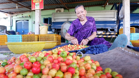 Kể chuyện cây trái miền Tây - Kỳ 7: Chuyện lạ sơ ri Gò Công - Ảnh 3. Kể chuyện cây trái miền Tây - Kỳ 7: Chuyện lạ sơ ri Gò Công - Ảnh 3.