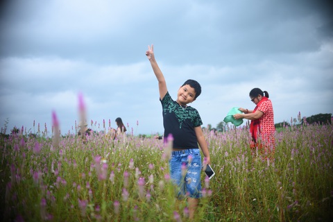 Cánh đồng hoa dền cát trời cho đẹp lạ lùng ở Phú Yên - Ảnh 6. Cánh đồng hoa dền cát trời cho đẹp lạ lùng ở Phú Yên - Ảnh 6.