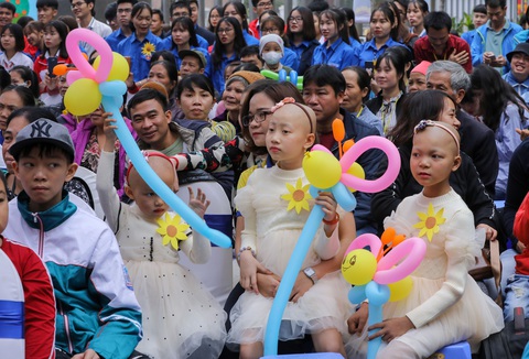 Hoa hướng dương làm ấm sáng mùa đông Hà Nội - Ảnh 3. Hoa hướng dương làm ấm sáng mùa đông Hà Nội - Ảnh 3.