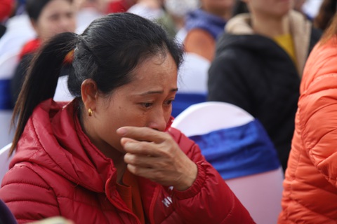 Hoa hướng dương làm ấm sáng mùa đông Hà Nội - Ảnh 9. Hoa hướng dương làm ấm sáng mùa đông Hà Nội - Ảnh 9.