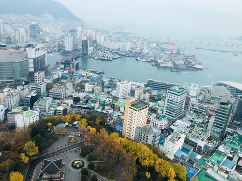 Ngày đông tới Busan thưởng thức hải sản, ra biển cho hải âu ăn - Ảnh 1. Ngày đông tới Busan thưởng thức hải sản, ra biển cho hải âu ăn - Ảnh 1.