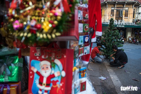 Chơi tới mùa Noel: thông 18-30 triệu vẫn hút khách - Ảnh 4. Chơi tới mùa Noel: thông 18-30 triệu vẫn hút khách - Ảnh 4.