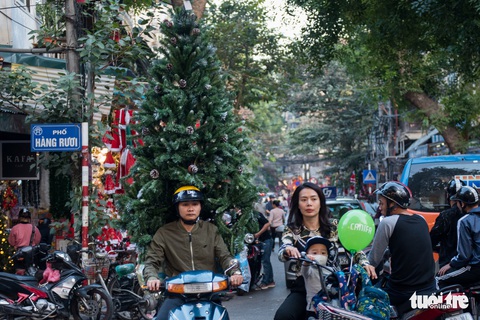 Chơi tới mùa Noel: thông 18-30 triệu vẫn hút khách - Ảnh 9. Chơi tới mùa Noel: thông 18-30 triệu vẫn hút khách - Ảnh 9.
