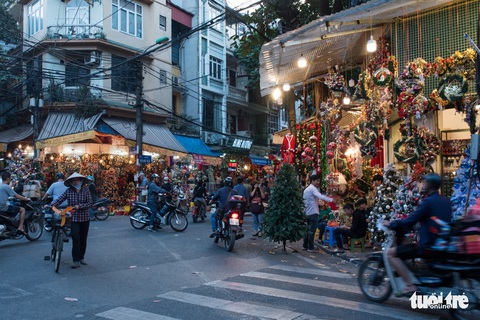 Chơi tới mùa Noel: thông 18-30 triệu vẫn hút khách - Ảnh 12. Chơi tới mùa Noel: thông 18-30 triệu vẫn hút khách - Ảnh 12.