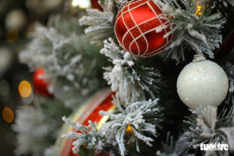 Chơi tới mùa Noel: thông 18-30 triệu vẫn hút khách - Ảnh 6. Chơi tới mùa Noel: thông 18-30 triệu vẫn hút khách - Ảnh 6.