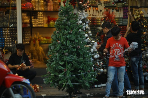 Chơi tới mùa Noel: thông 18-30 triệu vẫn hút khách - Ảnh 5. Chơi tới mùa Noel: thông 18-30 triệu vẫn hút khách - Ảnh 5.