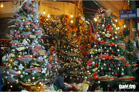 Chơi tới mùa Noel: thông 18-30 triệu vẫn hút khách - Ảnh 1. Chơi tới mùa Noel: thông 18-30 triệu vẫn hút khách - Ảnh 1.