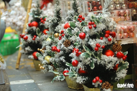 Chơi tới mùa Noel: thông 18-30 triệu vẫn hút khách - Ảnh 8. Chơi tới mùa Noel: thông 18-30 triệu vẫn hút khách - Ảnh 8.