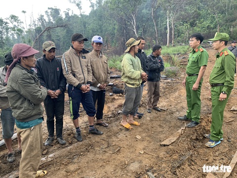 Mật phục công trường khai thác gỗ trong rừng phòng hộ, thấy gì? - Ảnh 3. Mật phục công trường khai thác gỗ trong rừng phòng hộ, thấy gì? - Ảnh 3.