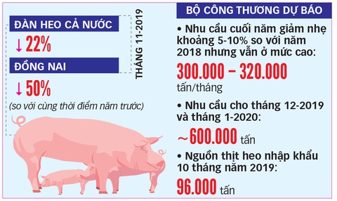 Giá thịt heo tăng cao: Yêu cầu Bộ NN&PTNT kiểm điểm - Ảnh 4. Giá thịt heo tăng cao: Yêu cầu Bộ NN&PTNT kiểm điểm - Ảnh 4.