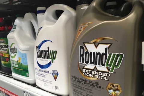 Úc xử vụ dân kiện tập thể về thuốc diệt cỏ của Monsanto gây ung thư - Ảnh 1. Úc xử vụ dân kiện tập thể về thuốc diệt cỏ của Monsanto gây ung thư - Ảnh 1.