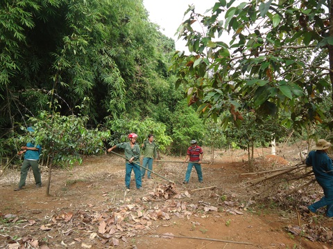 Chi sai hàng tỉ đồng trong quản lý, bảo vệ rừng ở Bình Phước - Ảnh 1. Chi sai hàng tỉ đồng trong quản lý, bảo vệ rừng ở Bình Phước - Ảnh 1.