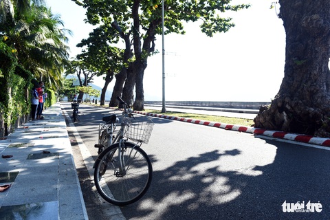 Cây bàng đi qua thăng trầm cùng người dân Côn Đảo - Ảnh 8. Cây bàng đi qua thăng trầm cùng người dân Côn Đảo - Ảnh 8.