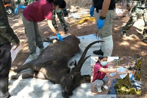 Đi thăm công viên rừng ở Thái sẽ phải mang theo túi đựng rác - Ảnh 3. Đi thăm công viên rừng ở Thái sẽ phải mang theo túi đựng rác - Ảnh 3.