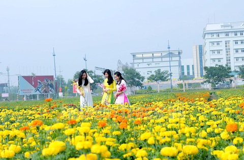 Phát triển đường hoa mai vàng Bình Chánh thành đặc sản du xuân - Ảnh 2. Phát triển đường hoa mai vàng Bình Chánh thành đặc sản du xuân - Ảnh 2.