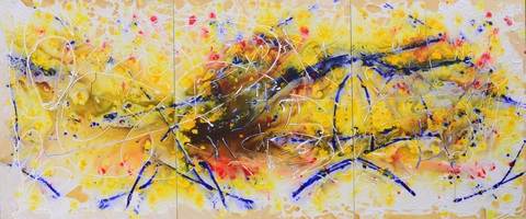 Xèo Chu - Thần đồng hội họa Việt được ví như danh họa Pollock - Ảnh 4. Xèo Chu - Thần đồng hội họa Việt được ví như danh họa Pollock - Ảnh 4.