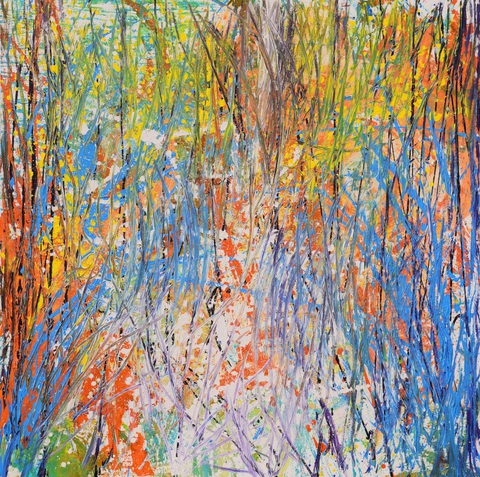 Xèo Chu - Thần đồng hội họa Việt được ví như danh họa Pollock - Ảnh 5. Xèo Chu - Thần đồng hội họa Việt được ví như danh họa Pollock - Ảnh 5.
