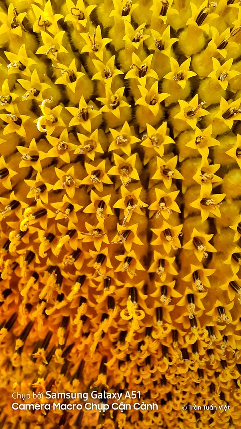 Công nghệ camera macro chụp cận cảnh tạo khác biệt cho Galaxy A51 - Ảnh 2. Công nghệ camera macro chụp cận cảnh tạo khác biệt cho Galaxy A51 - Ảnh 2.