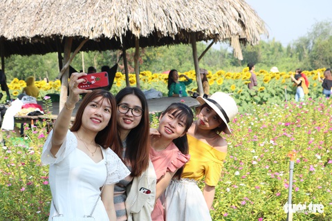 Selfie rực sắc vàng với vườn hướng dương ở TP.HCM - Ảnh 3. Selfie rực sắc vàng với vườn hướng dương ở TP.HCM - Ảnh 3.