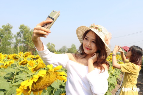 Selfie rực sắc vàng với vườn hướng dương ở TP.HCM - Ảnh 6. Selfie rực sắc vàng với vườn hướng dương ở TP.HCM - Ảnh 6.