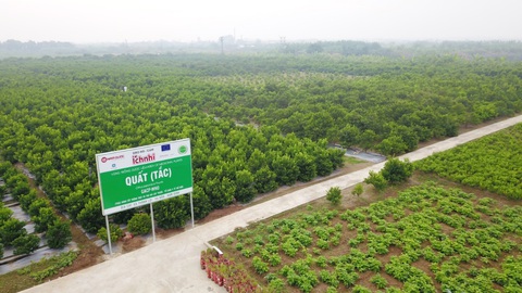Những vùng dược liệu chuẩn cho Sản phẩm hỗ trợ trị ho cảm trẻ em Việt - Ảnh 3. Những vùng dược liệu chuẩn cho Sản phẩm hỗ trợ trị ho cảm trẻ em Việt - Ảnh 3.
