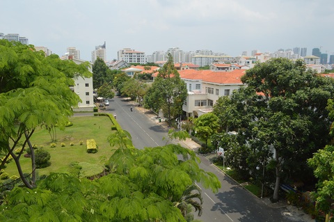 TP.HCM phát động trồng cây tạo mảng xanh làm đẹp thành phố dịp tết - Ảnh 1. TP.HCM phát động trồng cây tạo mảng xanh làm đẹp thành phố dịp tết - Ảnh 1.